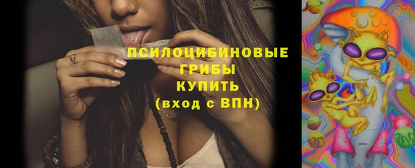 ГАЛЛЮЦИНОГЕННЫЕ ГРИБЫ Горнозаводск